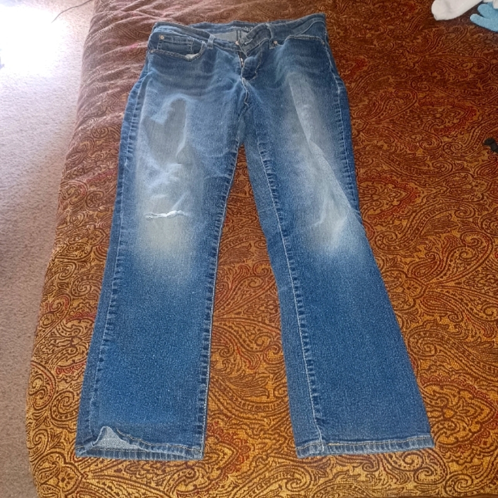 Levi Strauss & Co signature modern slim fit jean size 10